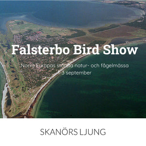 Falsterbo Bird Show