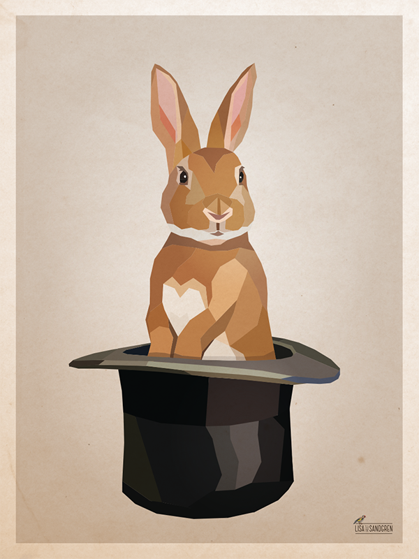 Kanin i hatt - Poster 50x70