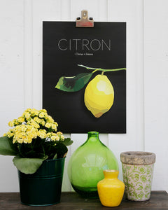 Citron - Poster 30x40