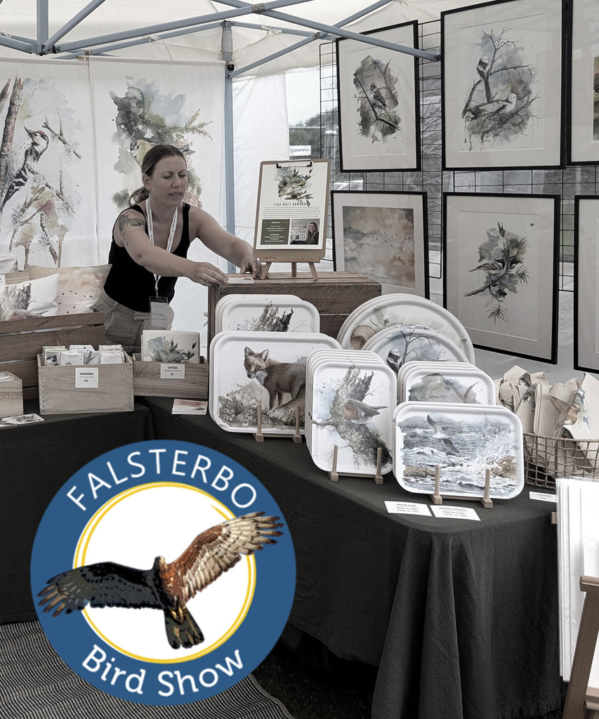 Falsterbo Bird Show