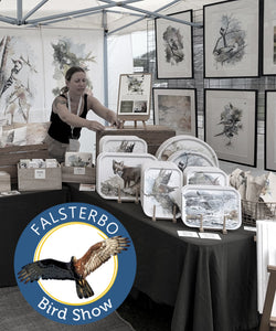 Falsterbo Bird Show