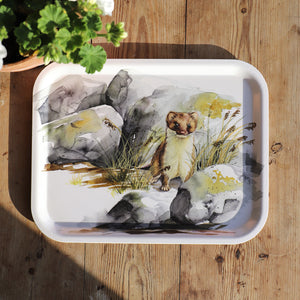 Tray ermine