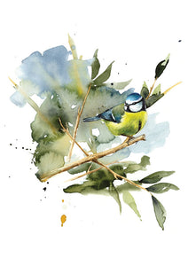 Blue Tit - limited edition