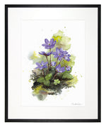 Load image into Gallery viewer, Anemone
