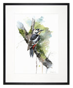 Load image into Gallery viewer, Woodpecker - limited edition
