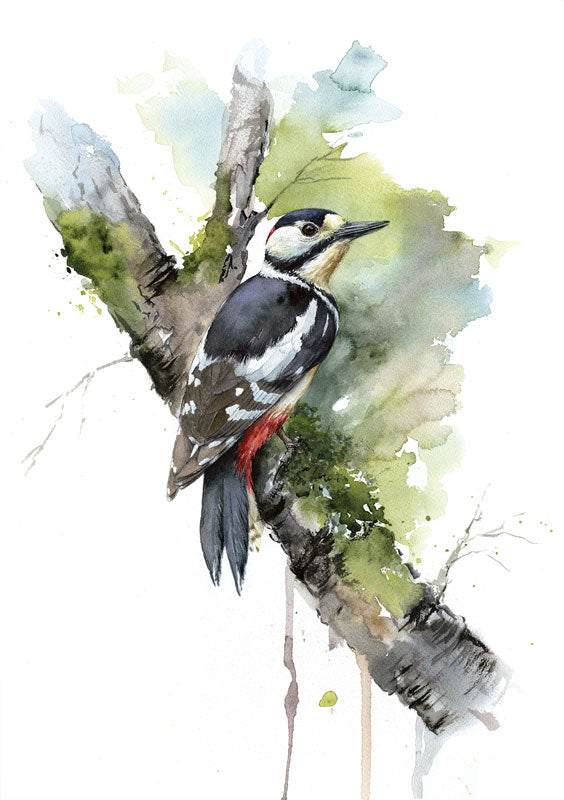 Woodpecker - limited edition