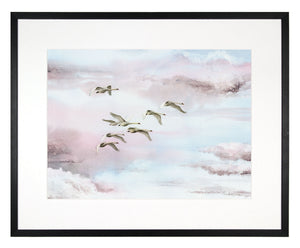 Mute swans - limited edition