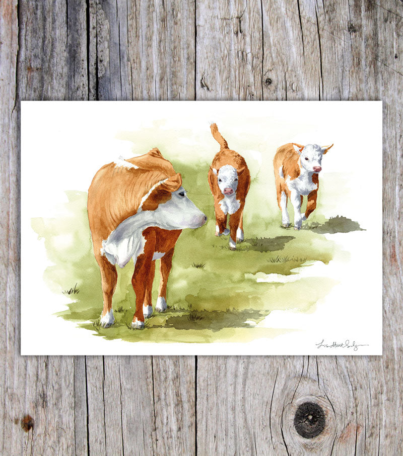 Cows A5 card