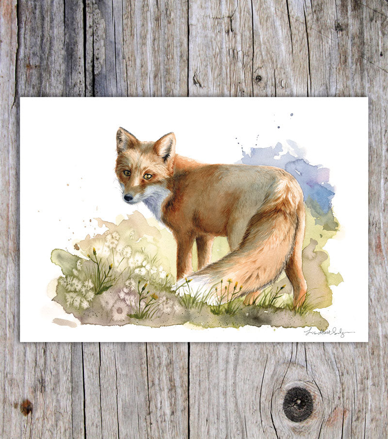 Fox A5 card