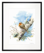 Ladda upp bild till gallerivisning, Rödhake - begränsad upplaga
