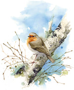 Ladda upp bild till gallerivisning, Rödhake - begränsad upplaga
