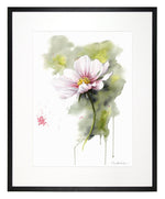 Ladda upp bild till gallerivisning, Rosenskära - begränsad upplaga
