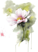 Ladda upp bild till gallerivisning, Rosenskära - begränsad upplaga
