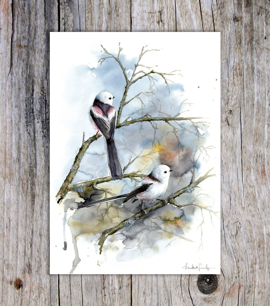 Long-tailed Tit A5 card