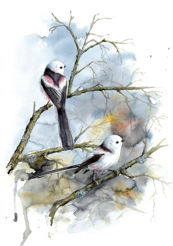 Long-tailed Tit - limited edition