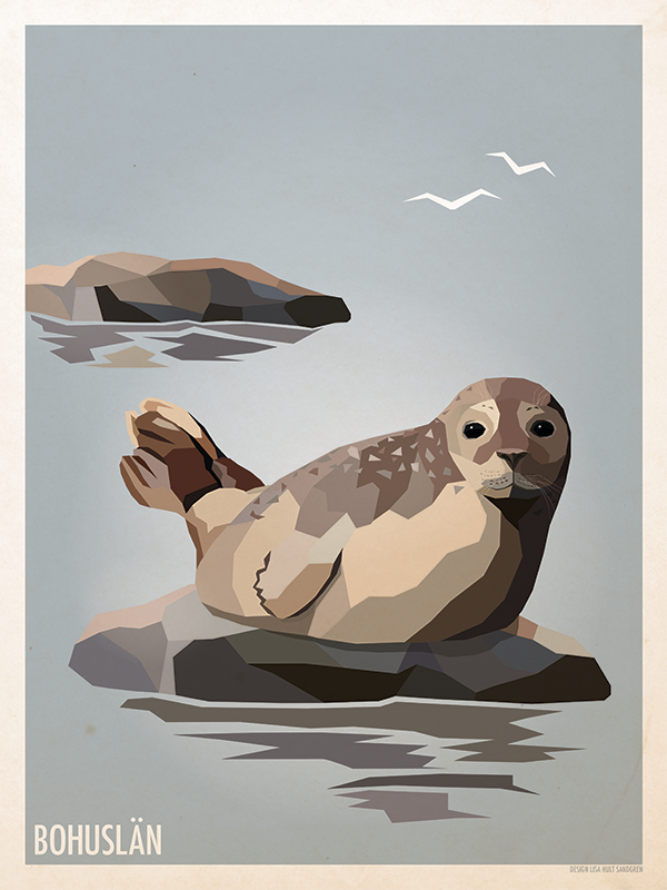 Seal - Poster 30x40