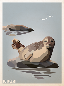 Seal - Poster 30x40