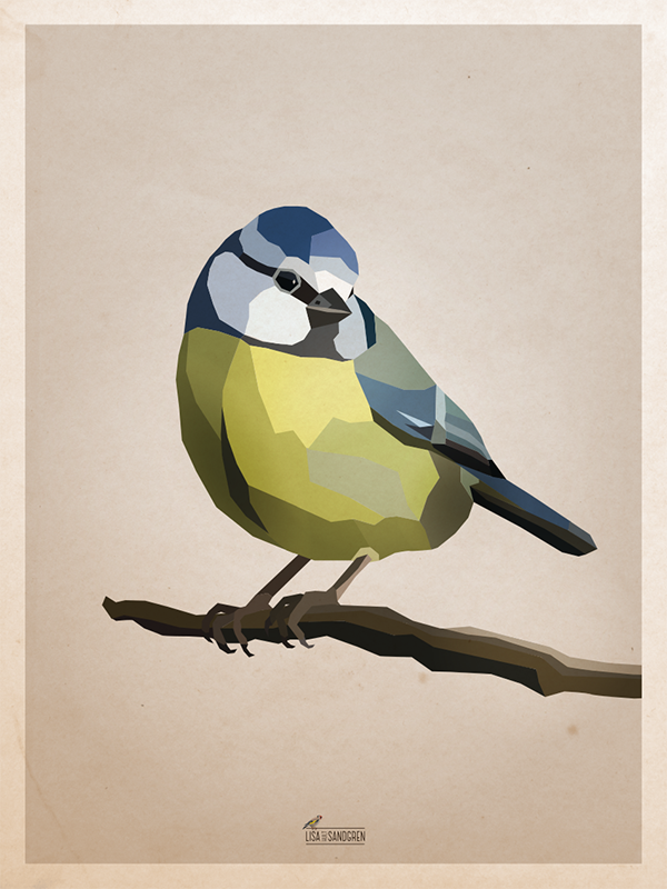 Blue Tit - Posters in 2 sizes