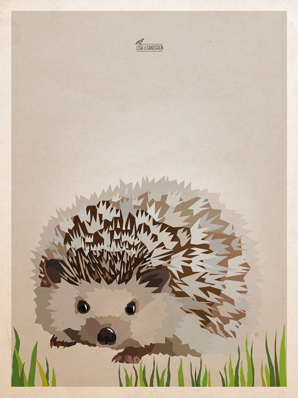 Hedgehog - Poster 30x40