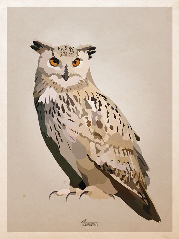 Eagle owl - Posters in 2 sizes