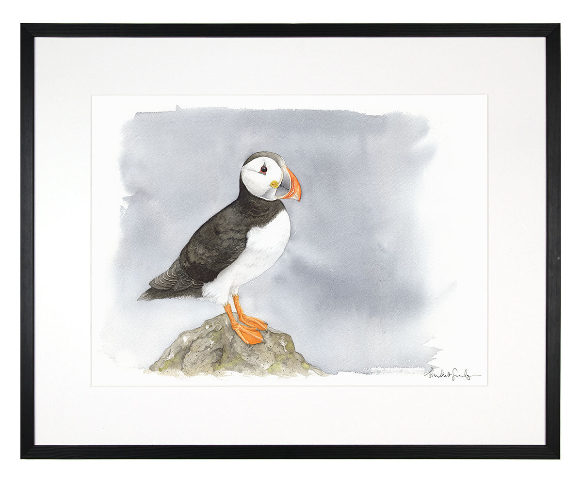 Puffin - limited edition