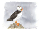 Load image into Gallery viewer, Puffin - limited edition
