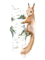 Load image into Gallery viewer, Squirrel
