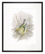 Load image into Gallery viewer, Gold-crested Wren - limited edition
