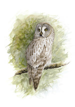 Load image into Gallery viewer, Owl - limited edition
