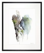 Load image into Gallery viewer, Nuthatch - limited edition
