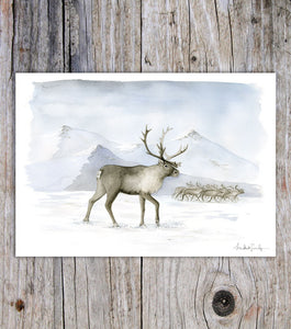 Reindeers A5 card