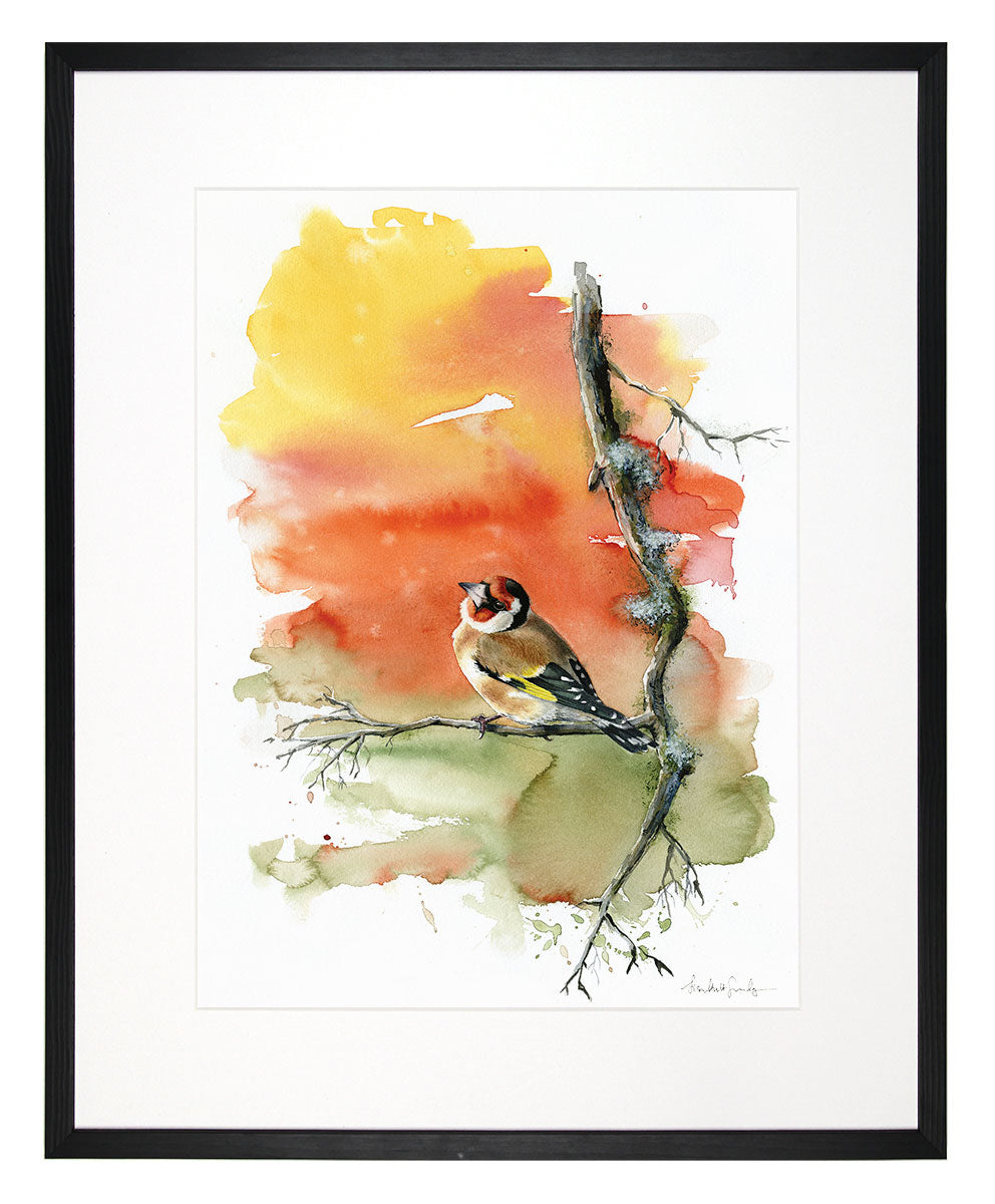 Goldfinch - limited edition