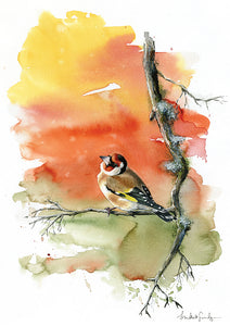Goldfinch - limited edition