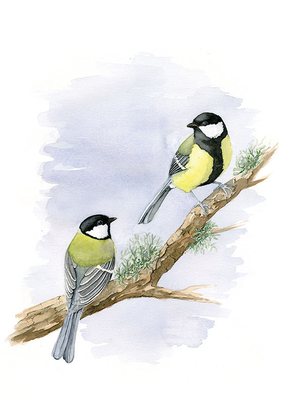 Great Tit - limited edition